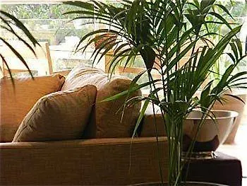 St Barth Guest house