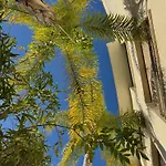 St Barth 5* Cannes