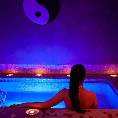 招待所 戛纳圣巴特别墅酒店 5*