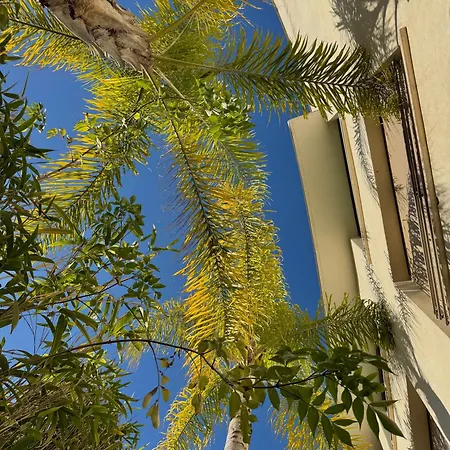 戛纳圣巴特别墅酒店 5* 戛纳