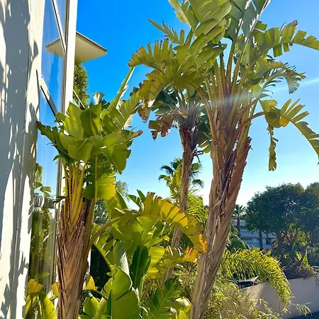 招待所 戛纳圣巴特别墅酒店