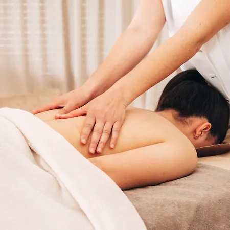 戛纳圣巴特别墅酒店 戛纳